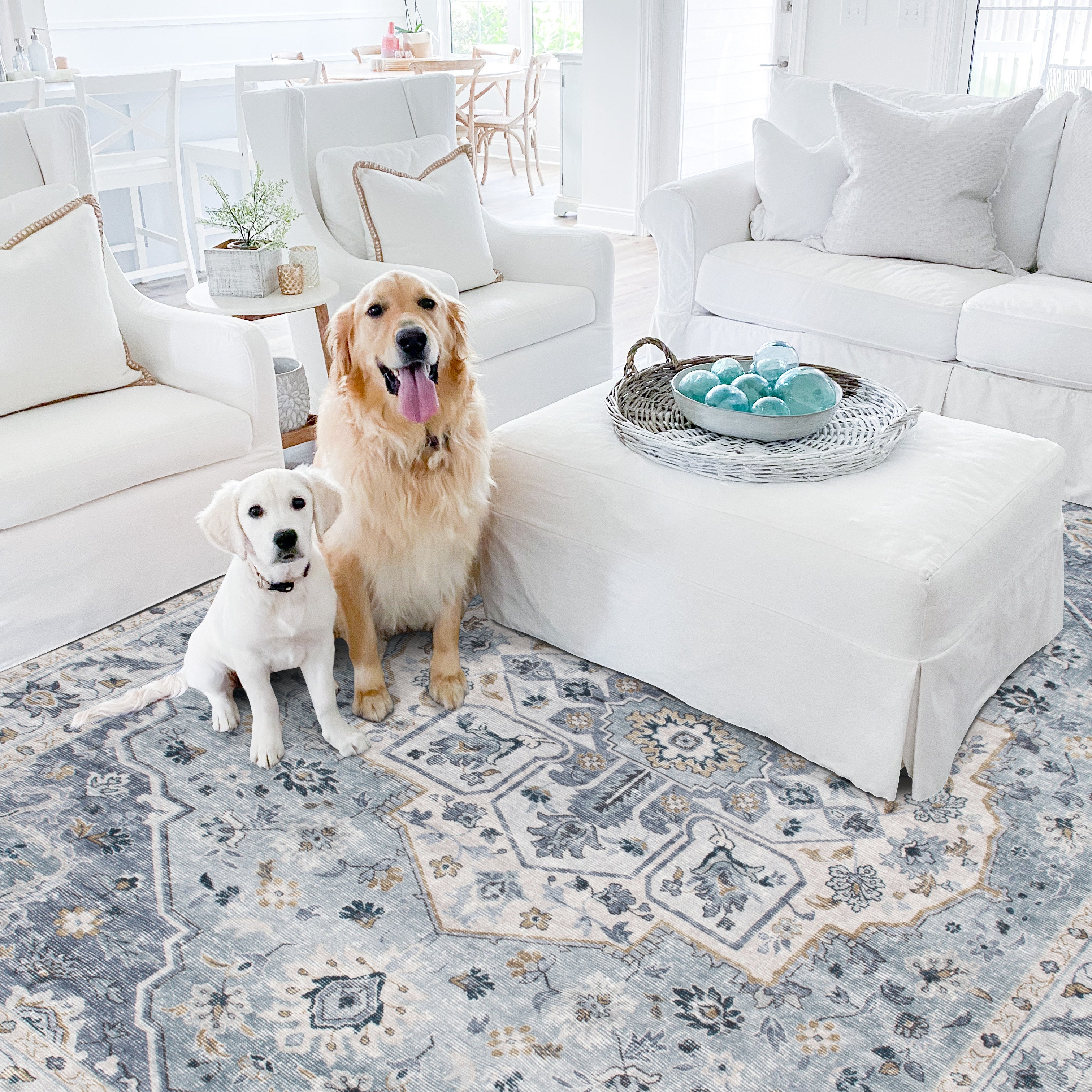 The Best Pet-Friendly Rugs of 2024