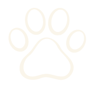 Pet Friendly