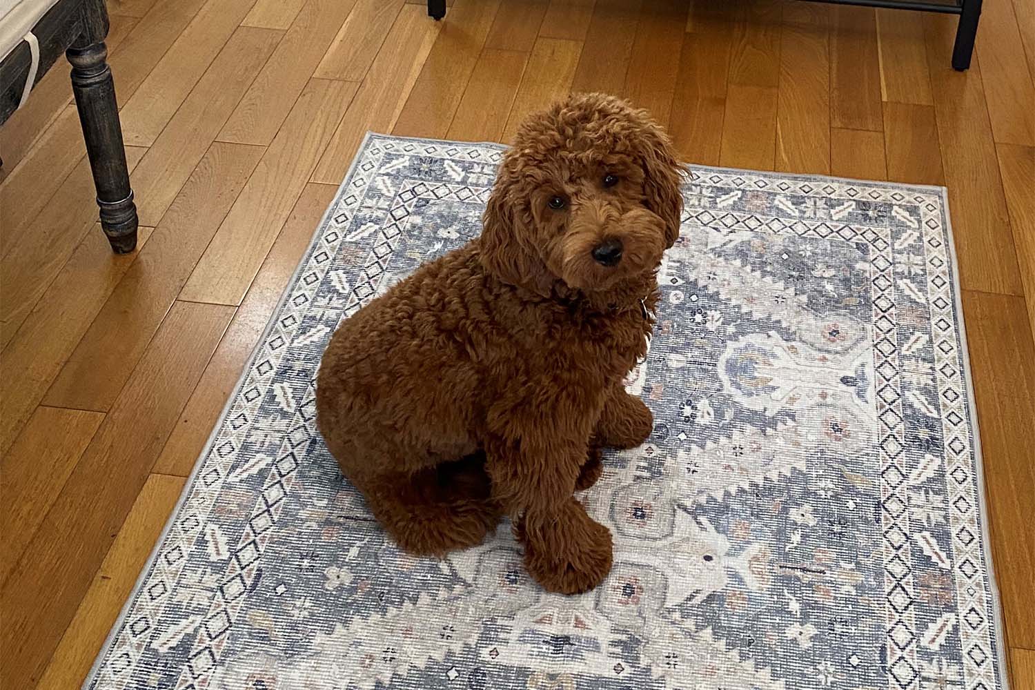 The Ultimate Guide to Buying a Runner Rug | Tumble