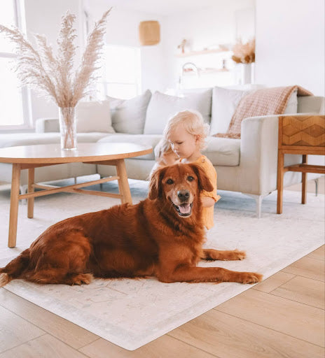 The Best Non-Toxic Rugs