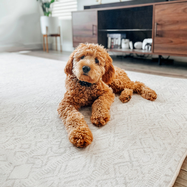Tumble Spillproof & Washable Rugs