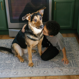 Alt text not provided for this image