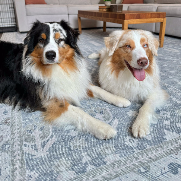 Tumble | Spillproof, Washable & Pet Friendly Rugs