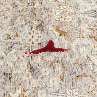 Alt text not provided for this image