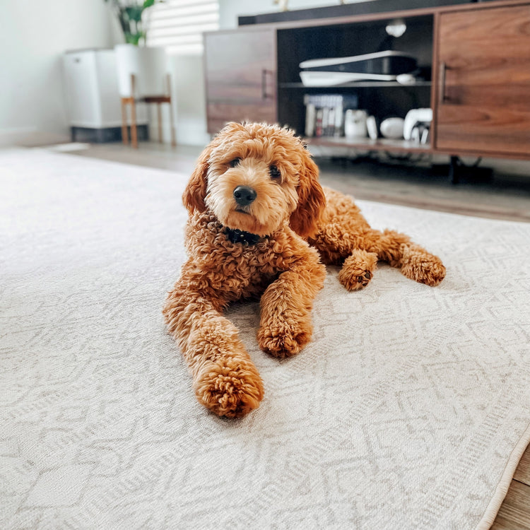 Tumble - Spillproof & Washable Rugs