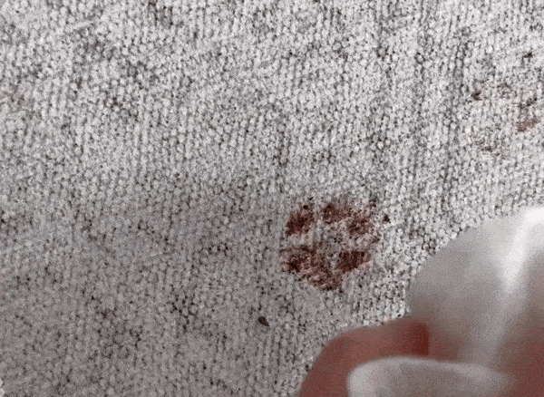 Robot vacuum cleaning spilled liquid on a patterned rug.