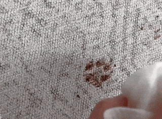 Alt text not provided for this image