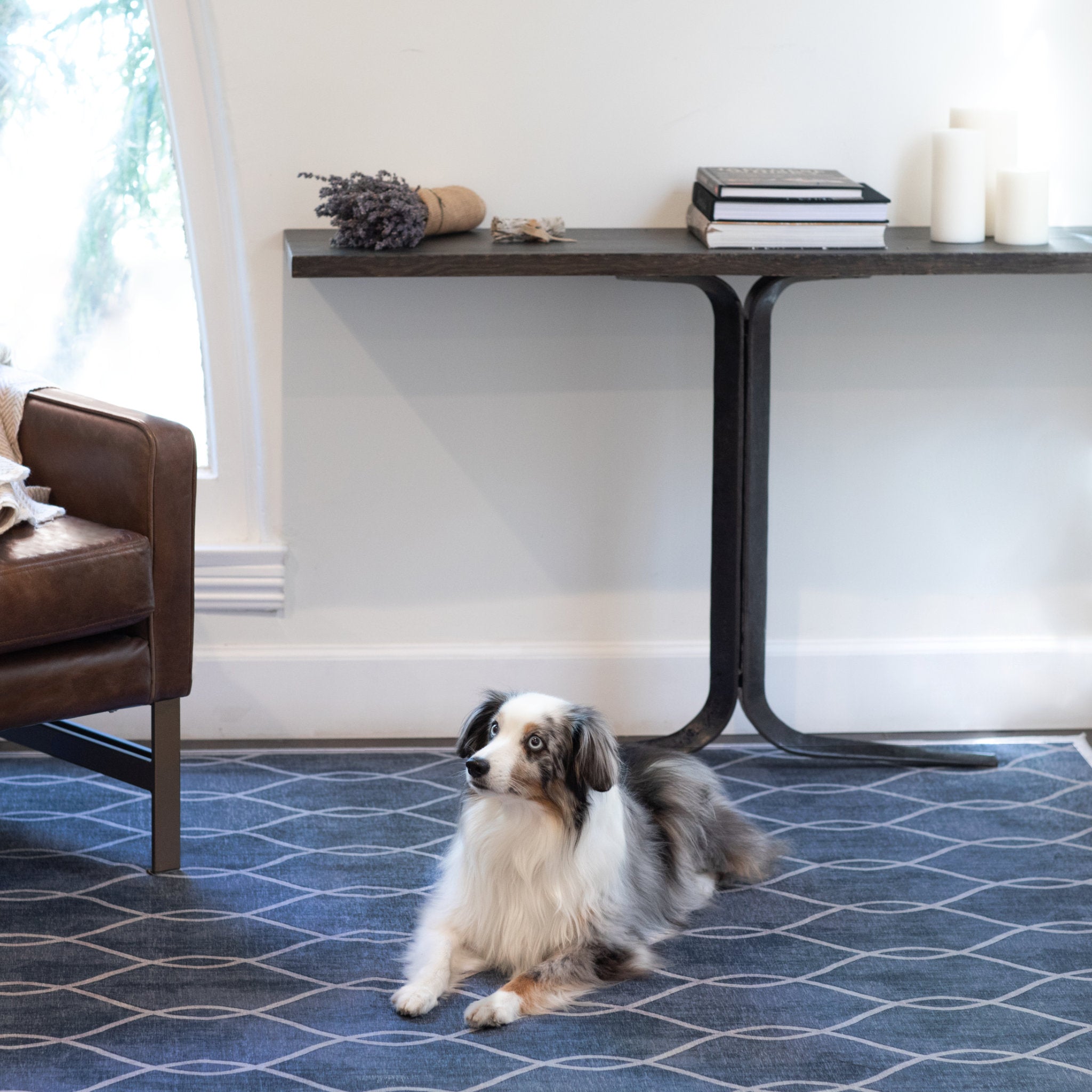 Tumble Rug Color Azra Tumble | Spillproof, Washable & Pet Friendly Rugs